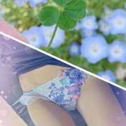 ヒメ日記 2025/04/28 09:08 投稿 藤崎えれな 極みのワイフ