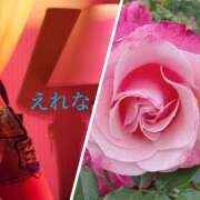 ヒメ日記 2025/05/12 10:09 投稿 藤崎えれな 極みのワイフ