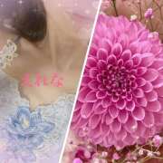 ヒメ日記 2025/07/11 08:35 投稿 藤崎えれな 極みのワイフ