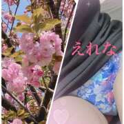 ヒメ日記 2025/04/14 08:58 投稿 藤崎えれな ワイフセレクション