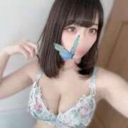 ヒメ日記 2025/02/11 12:33 投稿 蛍/Hotaru ジュリエット