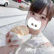 ヒメ日記 2025/02/27 10:12 投稿 蛍/Hotaru ジュリエット