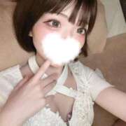 ヒメ日記 2025/04/04 16:18 投稿 蛍/Hotaru ジュリエット