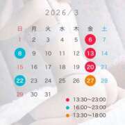 ヒメ日記 2026/02/17 13:18 投稿 蛍/Hotaru ジュリエット