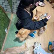 ヒメ日記 2026/03/02 15:49 投稿 シオン AMOUR（アムール）