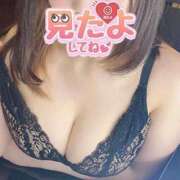 ヒメ日記 2025/02/12 11:18 投稿 ゆずか つまみぐいイケちゃいますよ！