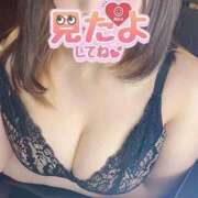 ヒメ日記 2025/04/26 19:01 投稿 ゆずか つまみぐいイケちゃいますよ！