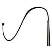 ヒメ日記 2025/02/04 16:09 投稿 まこ つまみぐいイケちゃいますよ！