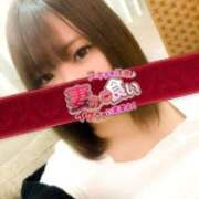 ヒメ日記 2025/04/07 19:00 投稿 くるみ つまみぐいイケちゃいますよ！