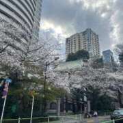 ヒメ日記 2026/03/29 06:42 投稿 みかん Charme（シャルム）