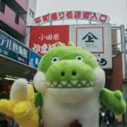 ヒメ日記 2025/02/01 12:24 投稿 たま ばつぐん素人プロダクション