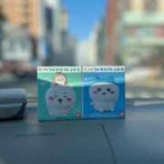 ヒメ日記 2025/02/01 14:58 投稿 たま ばつぐん素人プロダクション