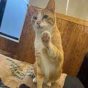 ヒメ日記 2025/02/11 11:37 投稿 たま ばつぐん素人プロダクション