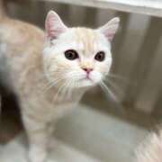 ヒメ日記 2025/01/26 15:22 投稿 木内りんご 全裸美女からのカゲキな誘惑