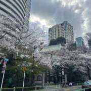 ヒメ日記 2026/03/29 06:38 投稿 木内りんご 全裸美女からのカゲキな誘惑