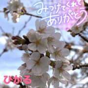 ヒメ日記 2025/04/06 11:50 投稿 ひかる 脱がされたい人妻 木更津店