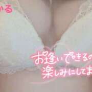 ヒメ日記 2025/04/24 12:04 投稿 ひかる 脱がされたい人妻 木更津店