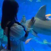 ヒメ日記 2025/09/27 09:57 投稿 緋曽花 りさ Canx2京都店