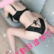 ヒメ日記 2025/09/22 17:09 投稿 りんか ヴィヴィッド・クルーマダム・セカンドヴァージン十三店