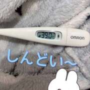 ヒメ日記 2025/12/24 10:23 投稿 りんか ヴィヴィッド・クルーマダム・セカンドヴァージン十三店