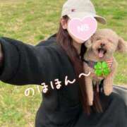 ヒメ日記 2026/03/29 15:00 投稿 りんか ヴィヴィッド・クルーマダム・セカンドヴァージン十三店