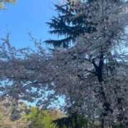 じゅりな 🌸出勤予定🌸 日暮里・西日暮里サンキュー