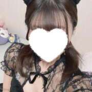 ヒメ日記 2025/11/14 13:01 投稿 緋曽花 りさ コンフォート