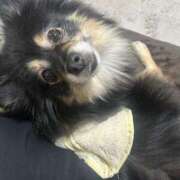 ヒメ日記 2025/03/29 14:16 投稿 ちぃ アラカルト