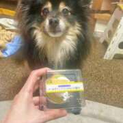 ヒメ日記 2025/04/08 21:39 投稿 ちぃ アラカルト