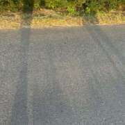 ヒメ日記 2025/06/21 21:25 投稿 ちぃ アラカルト