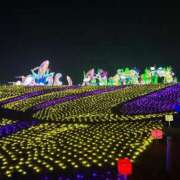 ヒメ日記 2025/12/05 20:58 投稿 ちぃ アラカルト