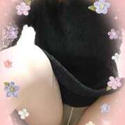 ヒメ日記 2025/07/30 08:40 投稿 小山みち子 五十路マダム 浜松店(カサブランカグループ)