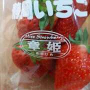 ヒメ日記 2026/02/22 09:24 投稿 小山みち子 五十路マダム 浜松店(カサブランカグループ)