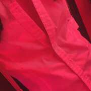 ヒメ日記 2025/12/06 19:19 投稿 ゆうひ banana