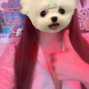 ヒメ日記 2026/06/06 23:40 投稿 ゆうひ banana