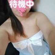 ヒメ日記 2025/01/28 17:35 投稿 とわ Ace(エース)