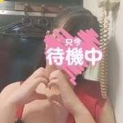 ヒメ日記 2025/02/04 14:01 投稿 とわ Ace(エース)