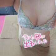 ヒメ日記 2025/04/13 10:03 投稿 とわ Ace(エース)