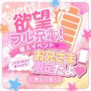 ヒメ日記 2025/04/20 11:01 投稿 とわ Ace(エース)