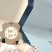 ヒメ日記 2025/05/22 15:02 投稿 とわ Ace(エース)