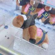 ヒメ日記 2025/01/24 08:24 投稿 シキ/Shiki 英國屋（金津園）