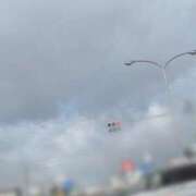 ヒメ日記 2025/03/17 08:54 投稿 シキ/Shiki 英國屋（金津園）