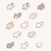 ヒメ日記 2025/03/17 12:44 投稿 シキ/Shiki 英國屋（金津園）