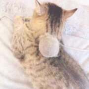 ヒメ日記 2025/04/16 18:34 投稿 シキ/Shiki 英國屋（金津園）