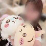 ヒメ日記 2025/06/14 12:24 投稿 シキ/Shiki 英國屋（金津園）