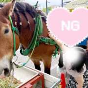 ヒメ日記 2025/05/20 20:49 投稿 あゆみ 完熟ばなな札幌・すすきの