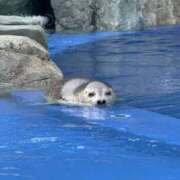 ヒメ日記 2025/09/27 10:10 投稿 清水  ゆり こあくまな熟女たち小倉店（KOAKUMAグループ）