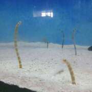 ヒメ日記 2025/10/07 02:00 投稿 清水  ゆり こあくまな熟女たち小倉店（KOAKUMAグループ）