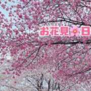 ヒメ日記 2025/04/01 18:45 投稿 冴木(さえき) 人妻出逢い会 百合の園 品川店