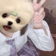 はな 週末~ ビデオdeはんど 横浜校